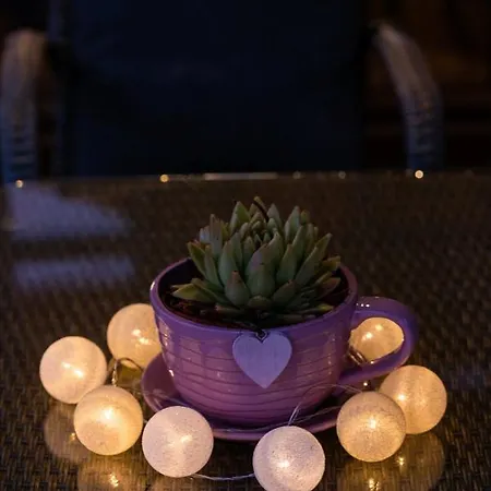 Retrohouse -wypoczynek Bez Dzieci-zadzwon ! (adults Only) Bed & Breakfast Reda