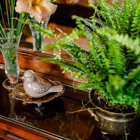 Retrohouse -wypoczynek Bez Dzieci-zadzwon ! (adults Only)