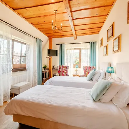 Bed & Breakfast Retrohouse -wypoczynek Bez Dzieci-sauna-jacuzzi-rowery Zadzwon ! (adults Only)
