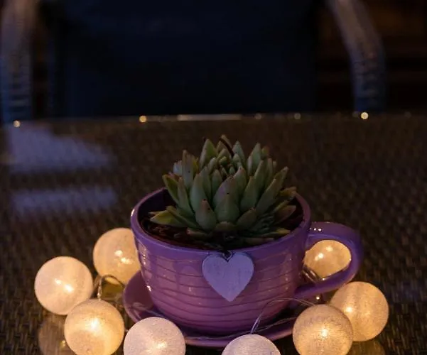 Retrohouse -wypoczynek Bez Dzieci-zadzwon ! (adults Only) Bed and Breakfast Reda